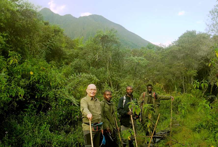 Virungas Berggorillas Reise