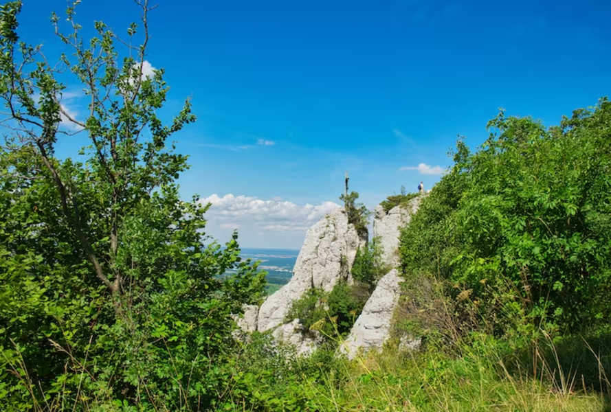 Am Wackerstein bei Pfullingen