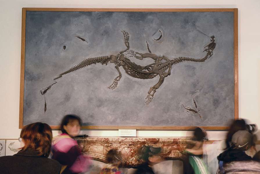 Monte San Giorgio Fossilienmuseum Meride