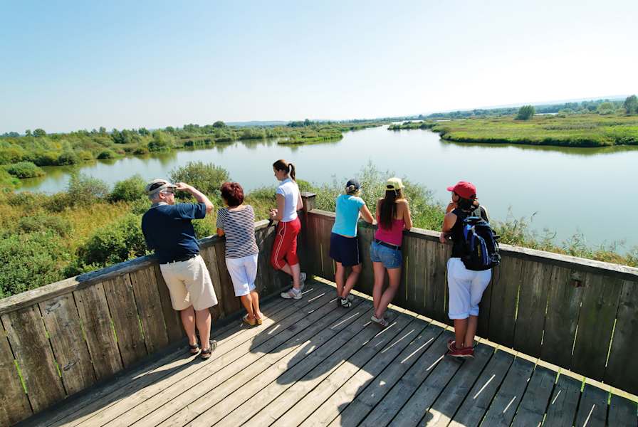 Fahrtwind Deutschland Reiseland Franken Radfahren