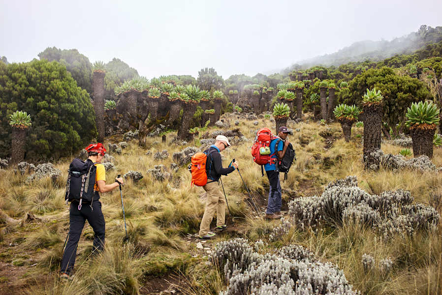 Reise Kilimanjaro
