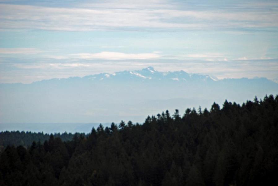 5 Wanderungen im Schwarzwald