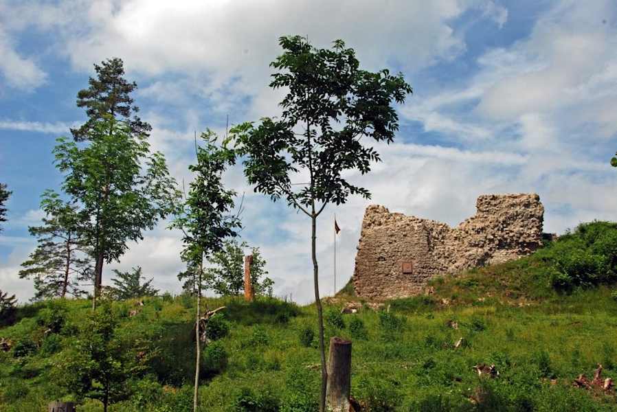 5 Wanderungen im Schwarzwald