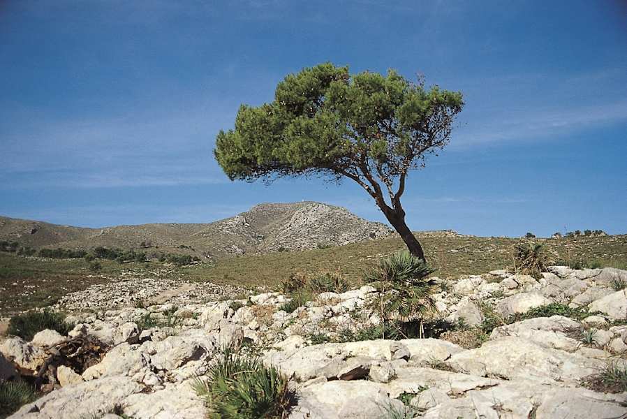 Naturpark Mallorca