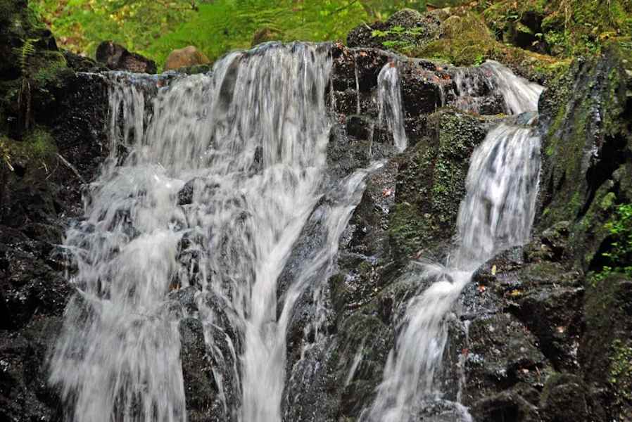 5 Wanderungen im Schwarzwald