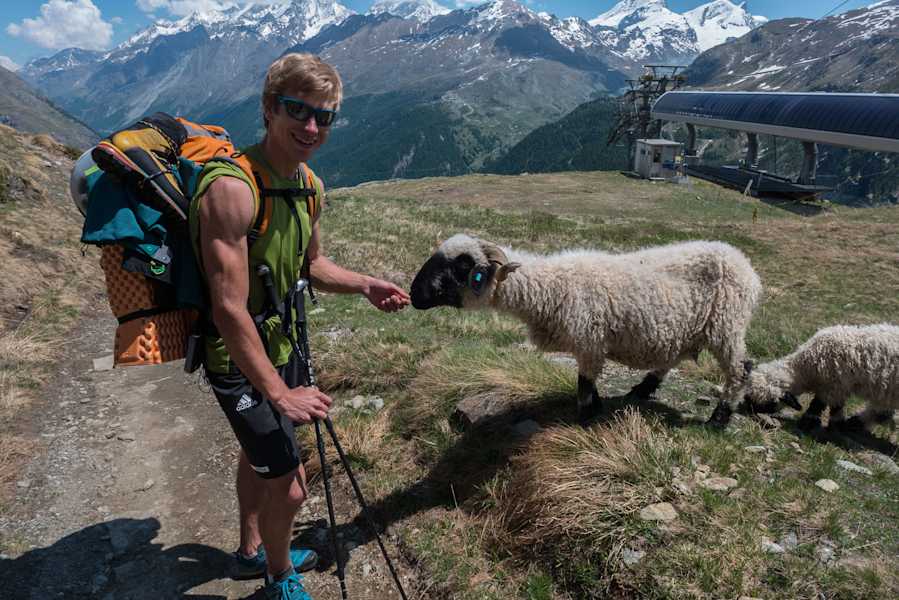 Simon Messner im Zustieg zum Matterhorn