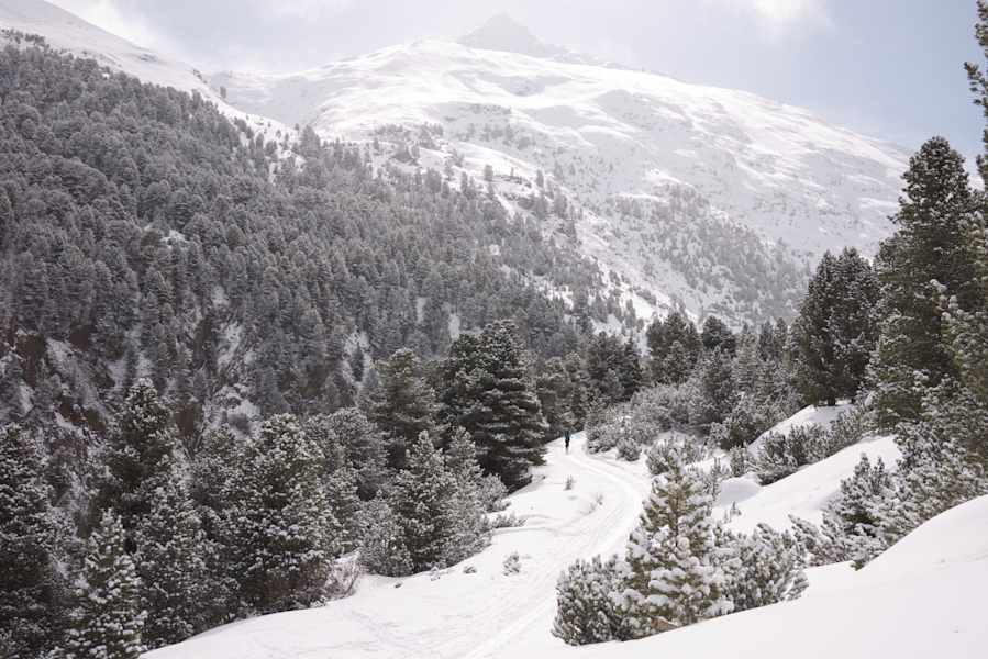 Ötztaler Alpen, Similaun & Fineilspitze, Tirol