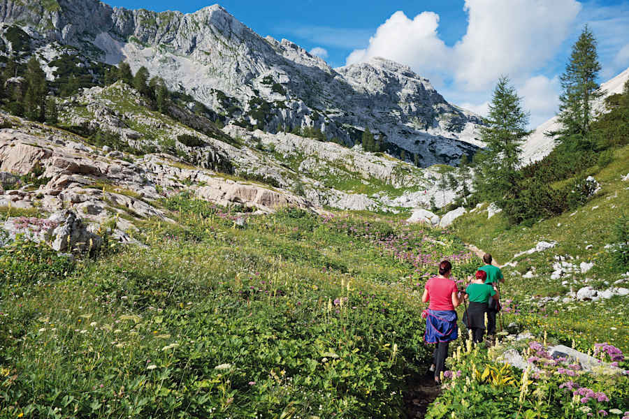 Je weiter man dem Tal entlang schreitet, umso grüner wird es.
