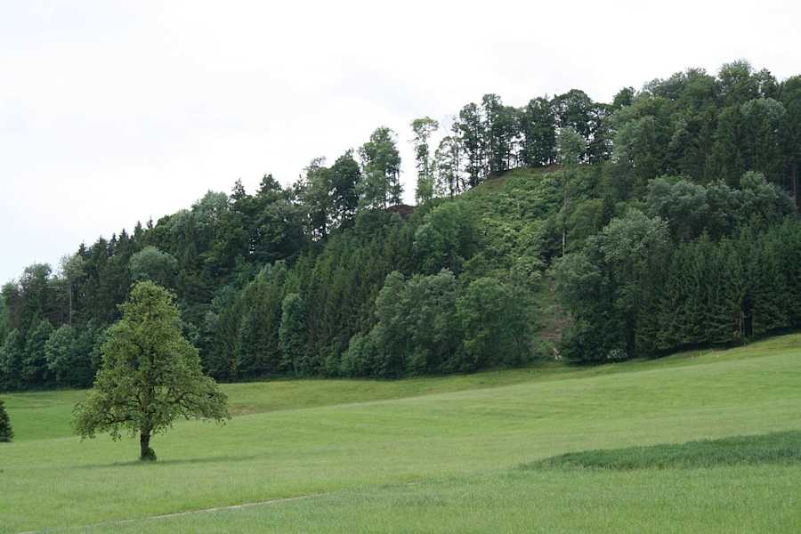 Wall der einstigen Burg Alt-Bichelsee