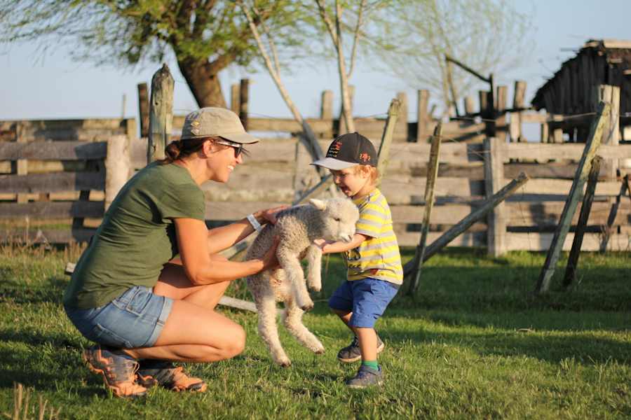 Elternzeit-Roadtrip mit Camper Südamerika 
