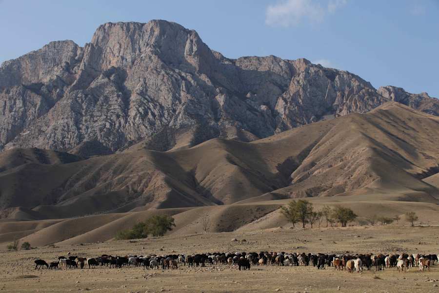 Wandern im wilden Kasachstan