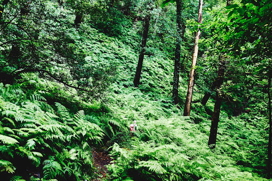 Bergwelten.com La Palma