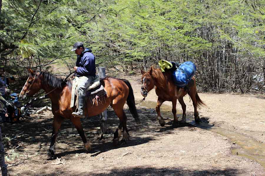 Reise Chile Skitouren