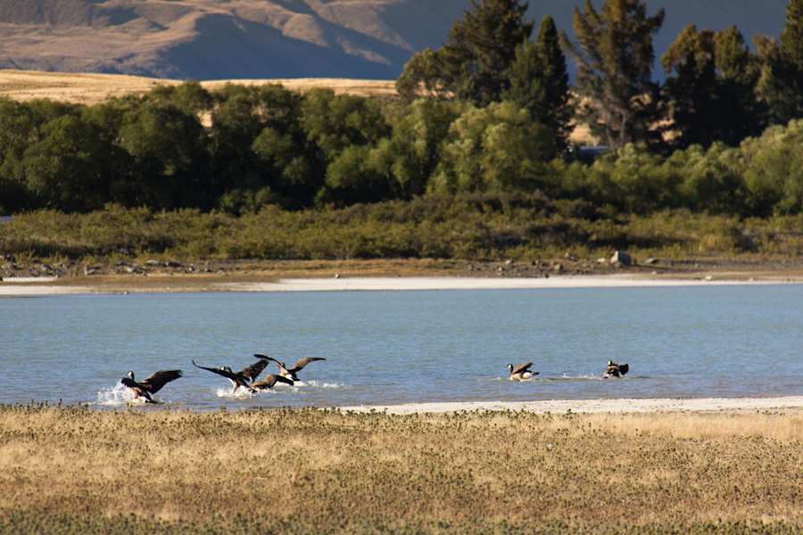 Lake Tekapu