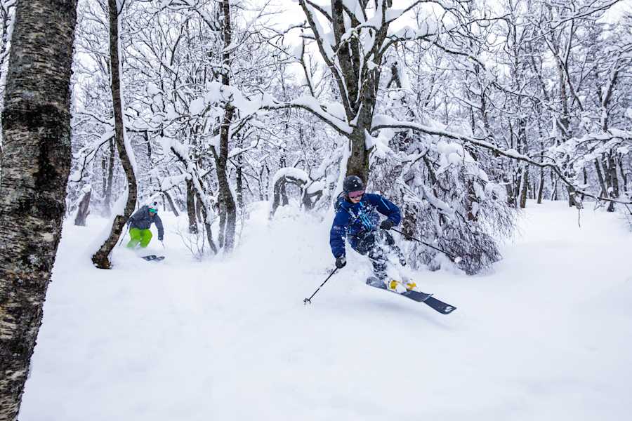 OMVEGEN TIL HELVETESTINDEN