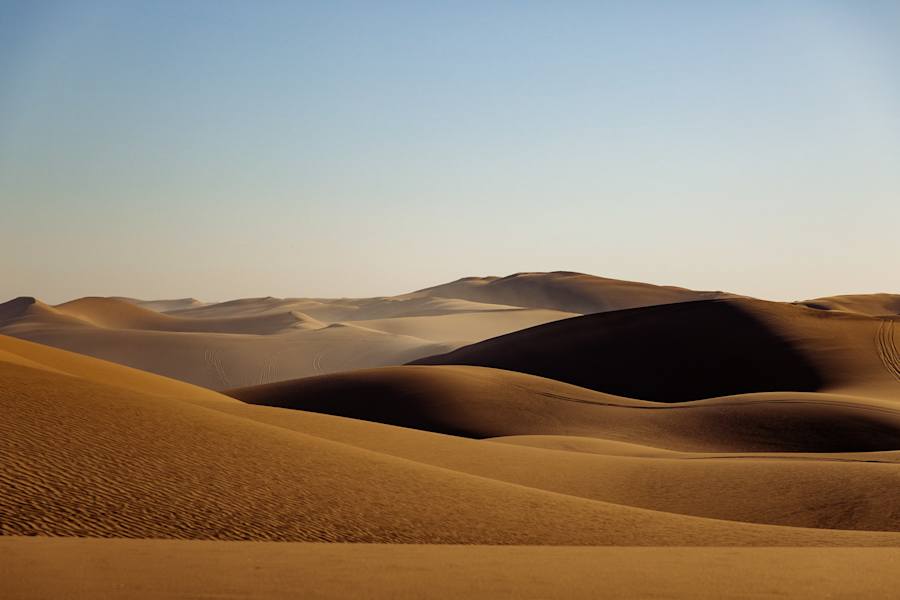 Carolin Unrath Photo-Rookie