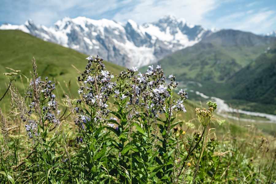 Ein letzter Blick zurück zum Gletscher.