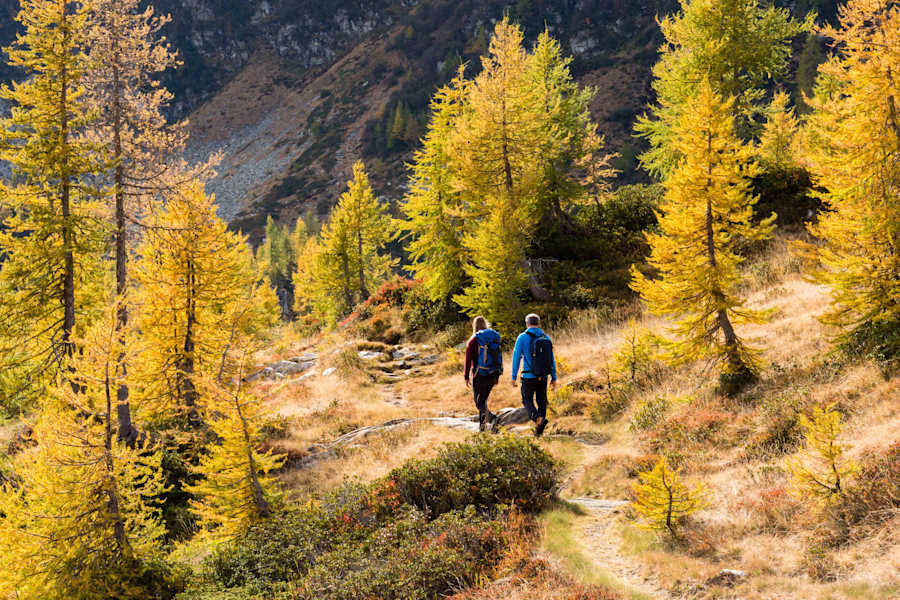 Im Herbst leuchten die Lärchen goldgelb auf der Trekking delle Aquile