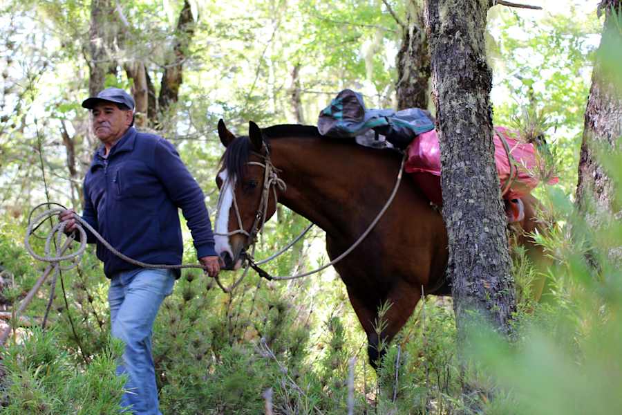 Reise Chile Skitouren