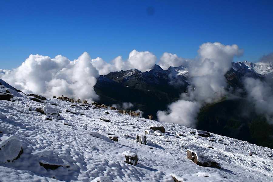 Wintereinbruch im Juli: Entlang des Osttiroler Pilgerwegs oberhalb der Sajathütte