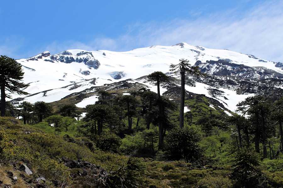 Reise Chile Skitouren