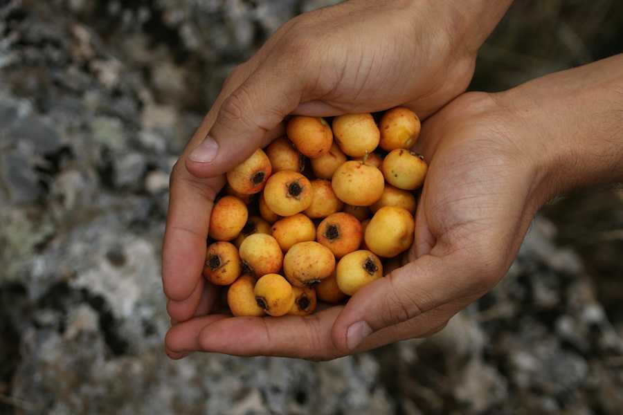 Wandern im wilden Kasachstan