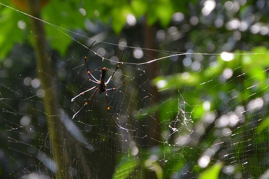 Reise Familie Australien Roadtrip