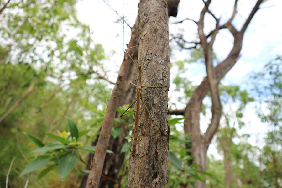 Reise Familie Australien Roadtrip