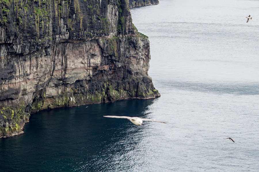 Färöer Inseln Wandern