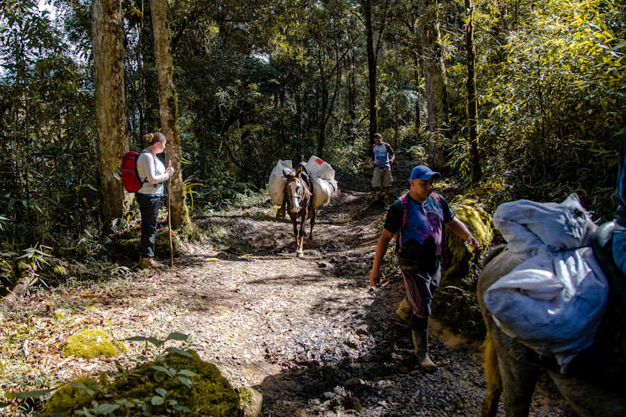 Reise Cost Rica Wandern Cerro Chirripó