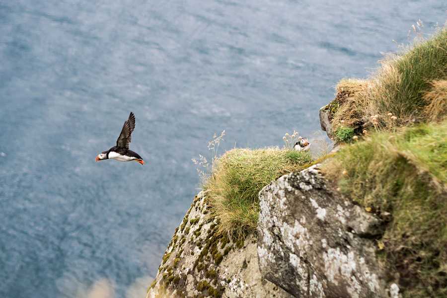 Färöer Inseln Wandern