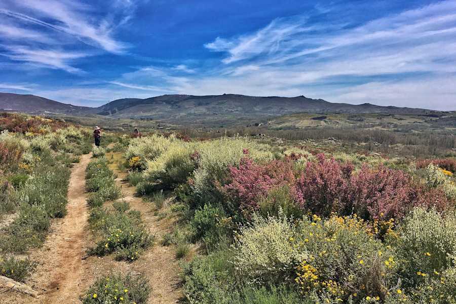 Das Hochland Galiziens ähnelt dem Schottischen Hochland