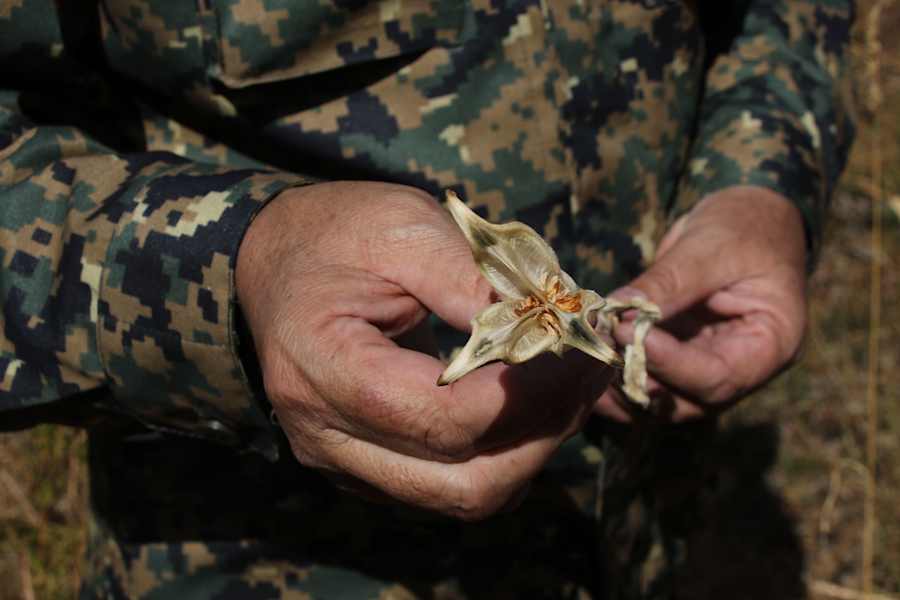 Wandern im wilden Kasachstan