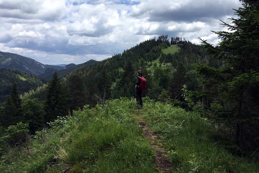 Pilgern Wien Mariazell