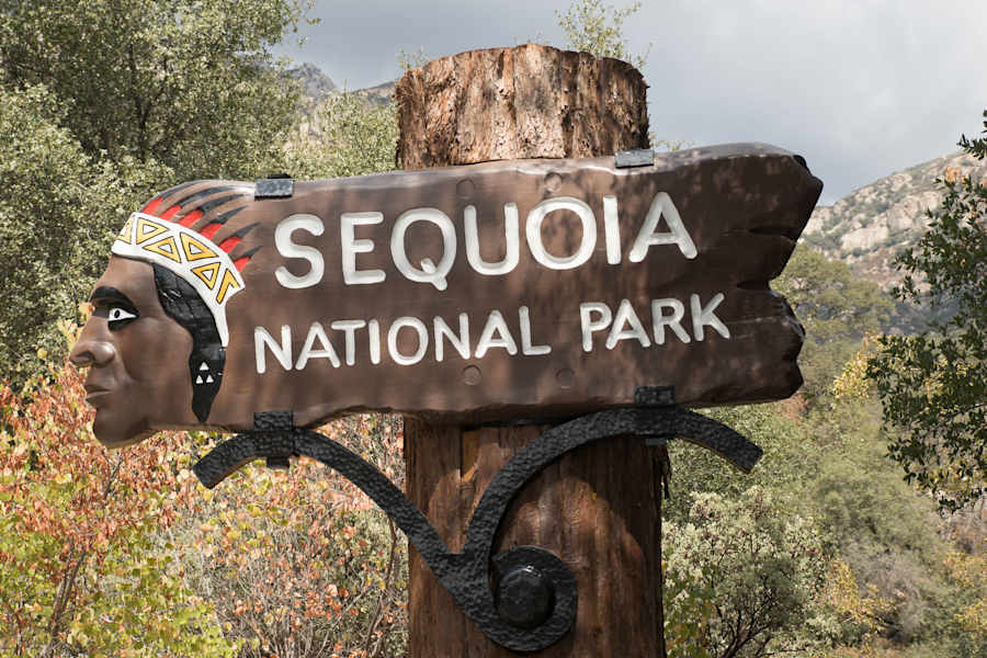 Mammutbäume Kalifornien Sierra Nevada