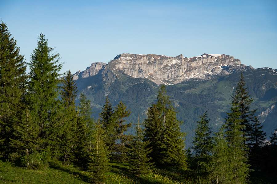 Bergpanorama im Alpbachtal