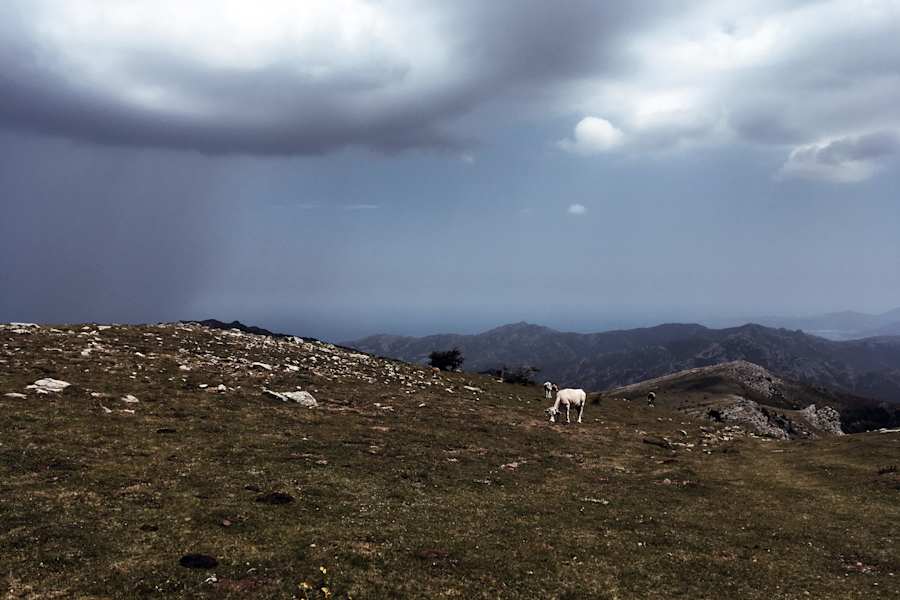 Ana Zirner Weitwandern Pyrenäen