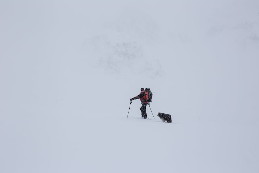 Lawinensuchhund: Lawinenhundestaffel Tirol