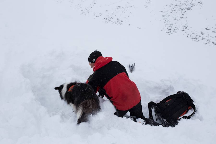 Lawinensuchhund: Lawinenhundestaffel Tirol