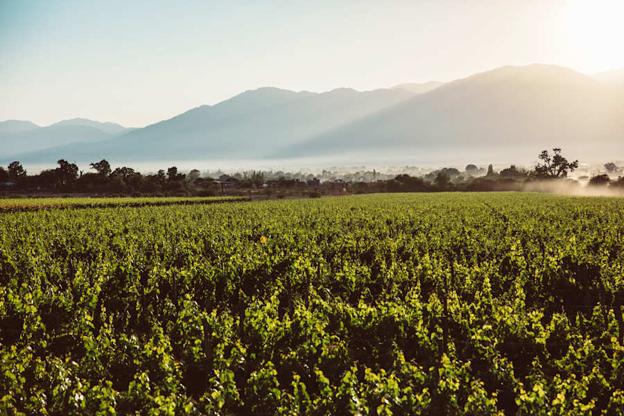 Bergwelten Argentinien
