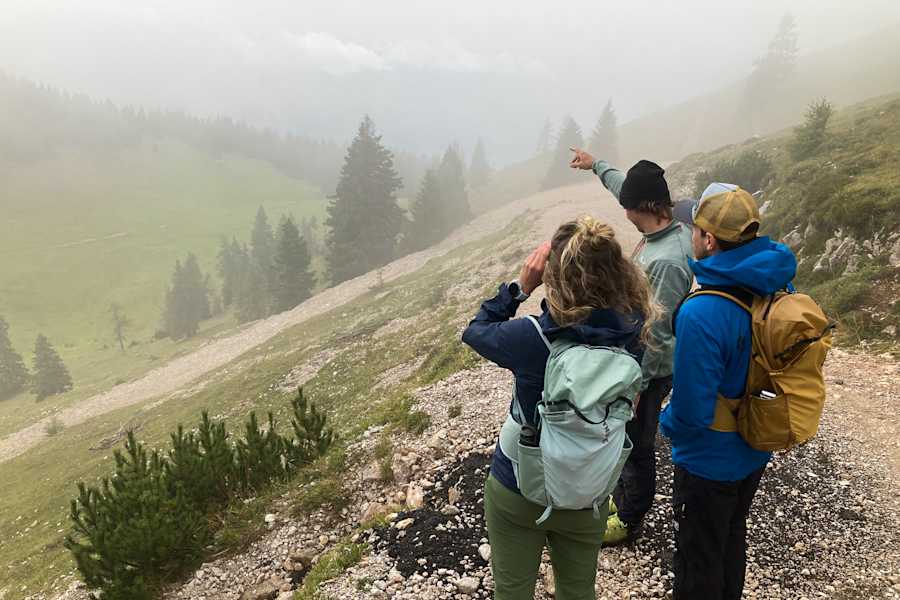 Wanderer im Nebel am Dobratsch