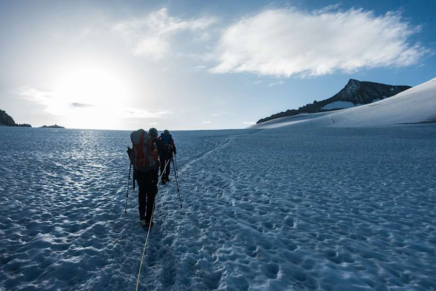 Seilschaft am Venedigerkees Gletscher am Großvenediger