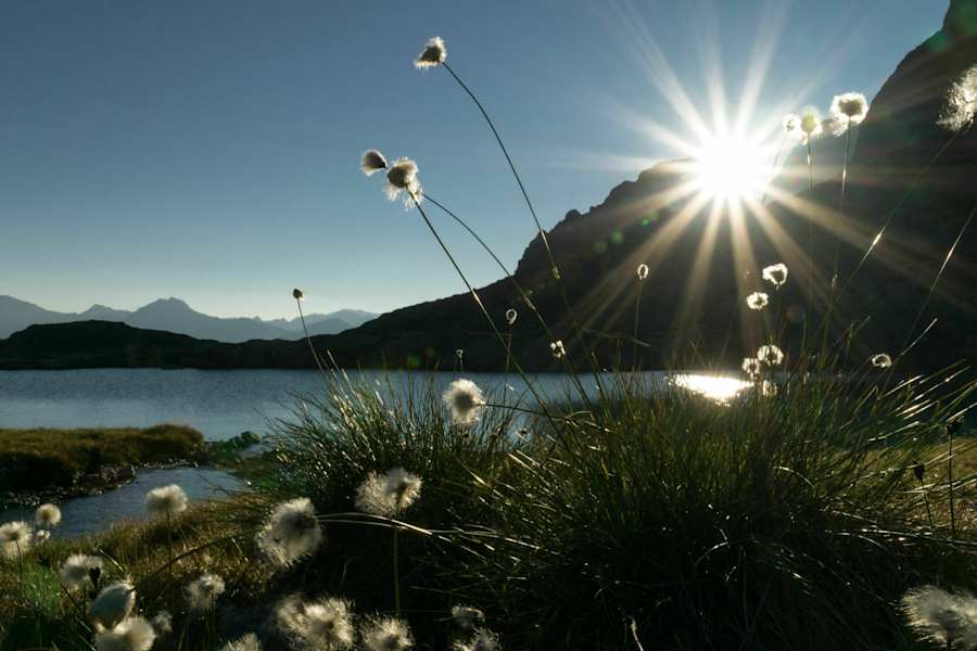 Super schöne Morgenstimmung im wilden Gradental im Nationalpark Hohe Tauern