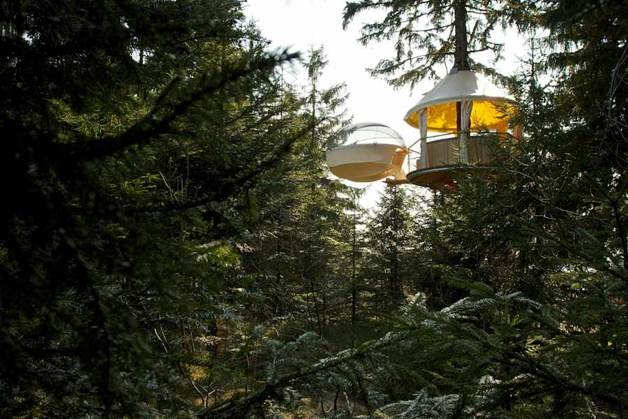 Hochseilpark Böhmerwald