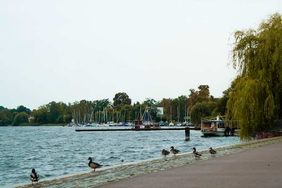 Fahrtwind Deutschland