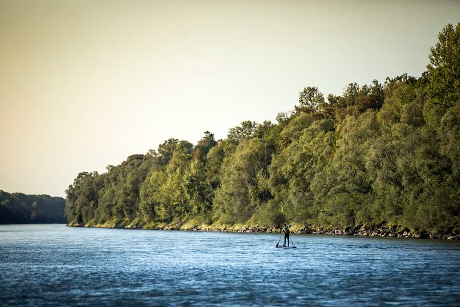 Pascal Rösler Donau Interview