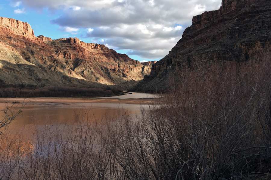 Ana Zirner Colorado River
