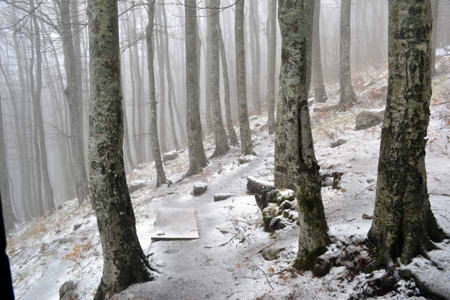 Kroatien Paklenica Nationalpark