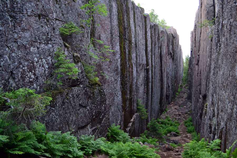 Skuleskogen Nationalpark Wandern
