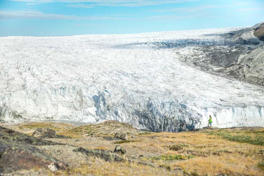 Trekking Grönland